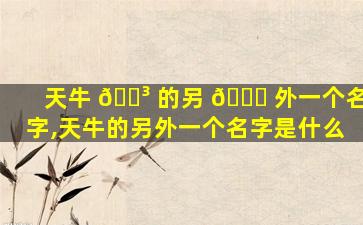 天牛 🐳 的另 🍀 外一个名字,天牛的另外一个名字是什么